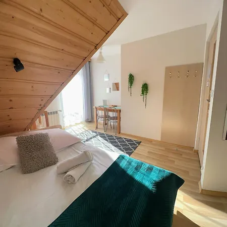 Podhalanska Chata Zakopane Esterno foto